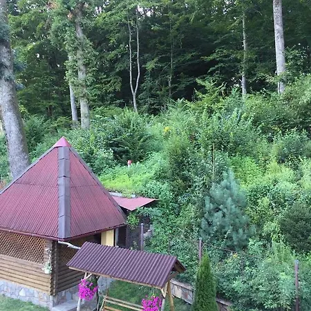 U Lyudmily Jaktstuga Karpaty