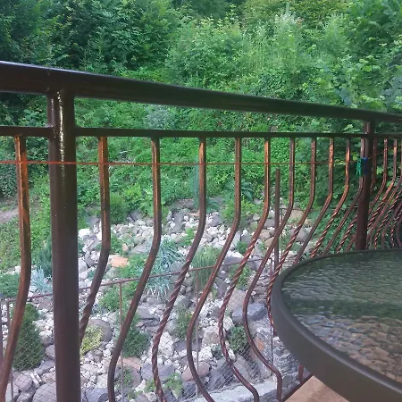 Lodge U Lyudmily Karpaty